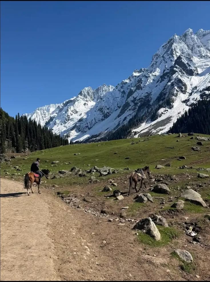 Kashmir Group Trip – Ex Delhi view 2