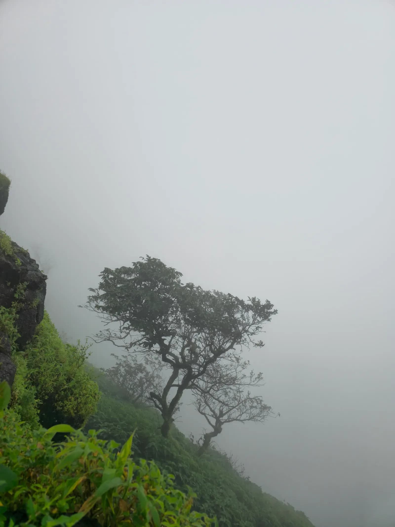 Saputara Monsoon Camp 2026 - Image 3