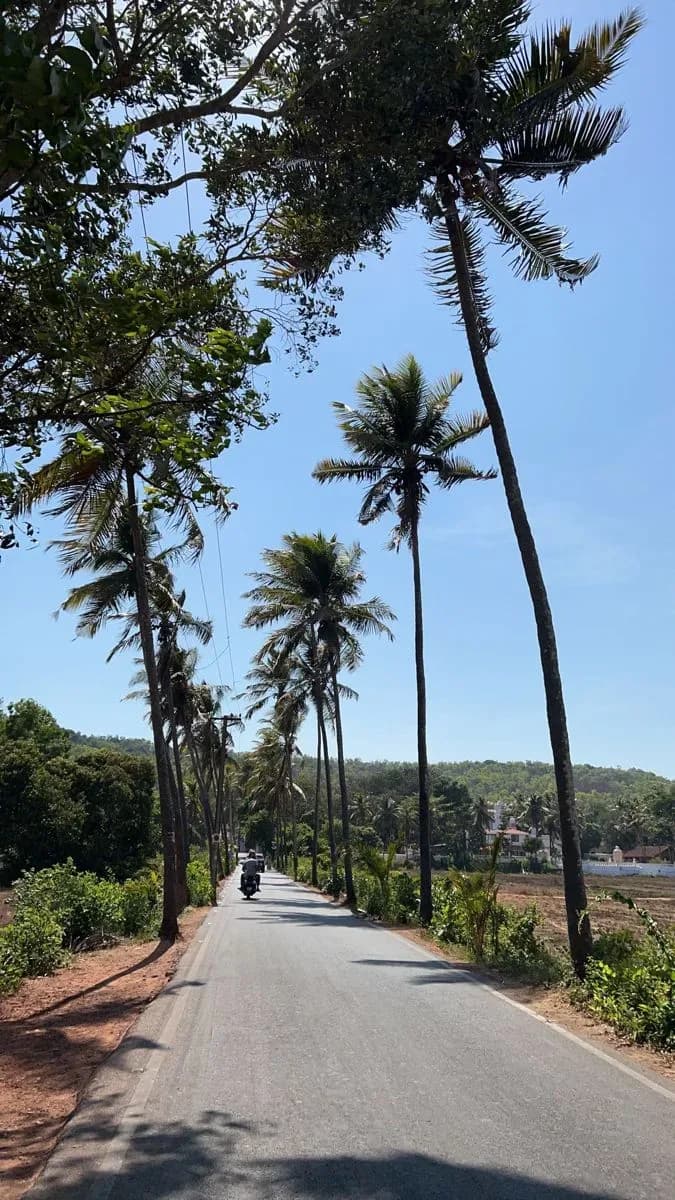 Goa Unfiltered – Beaches, Parties & Paradise 2026 - Image 1