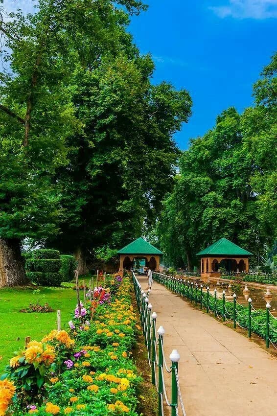 Whispers of Kashmir - Image 1