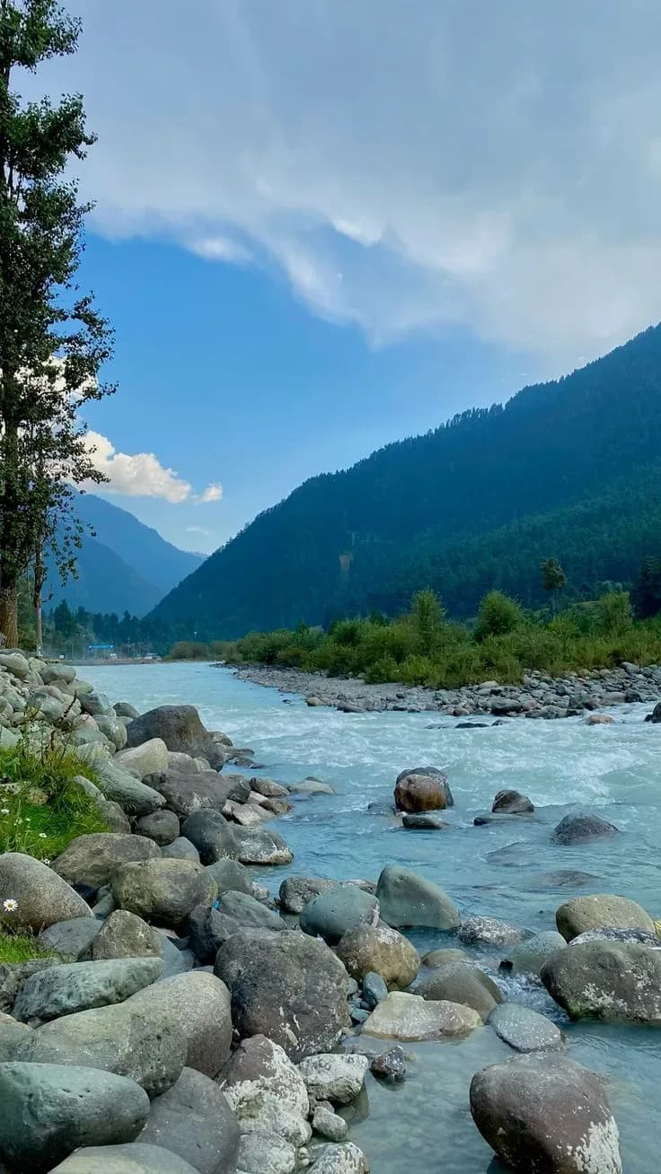 Whispers of Kashmir - Image 3
