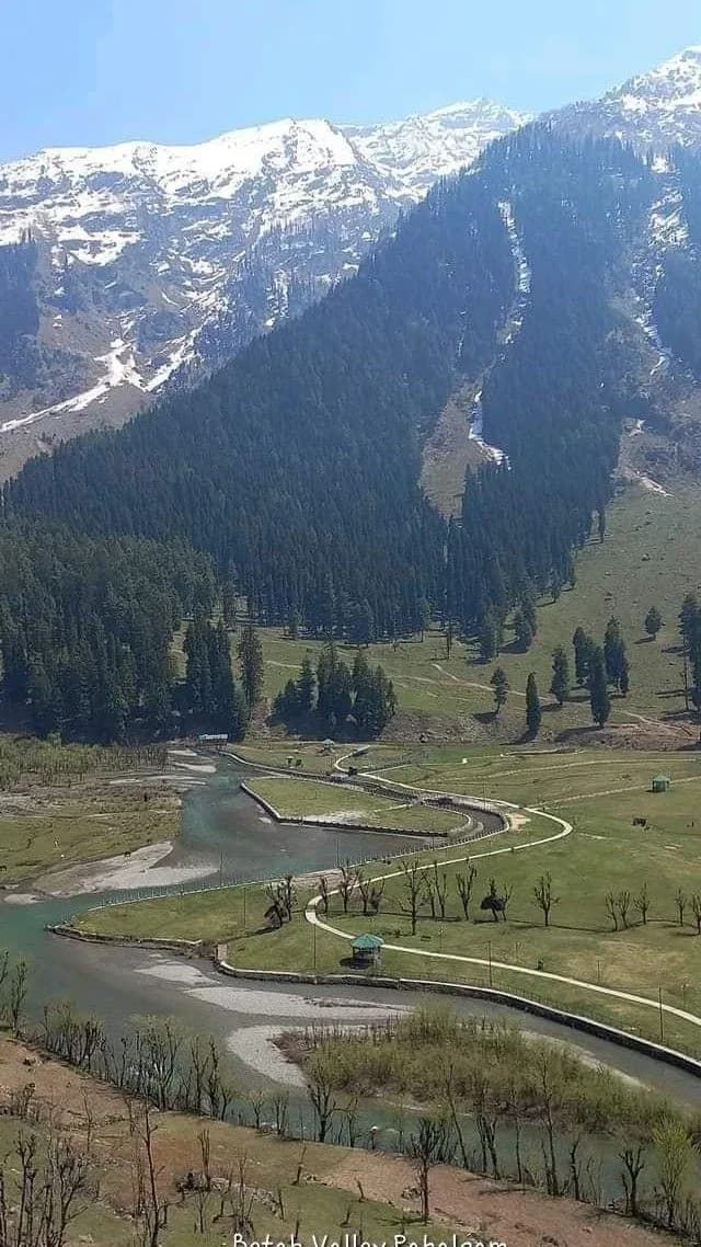 Whispers of Kashmir - Image 4