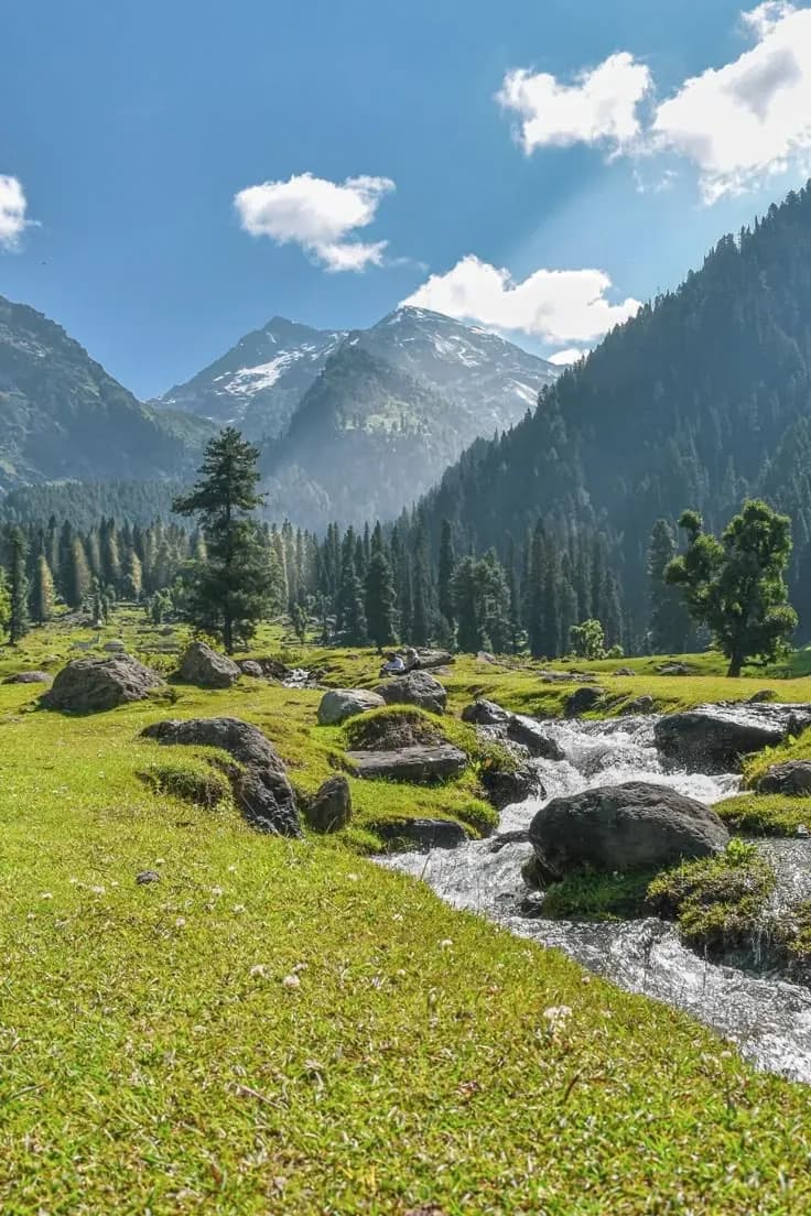 Whispers of Kashmir - Image 5