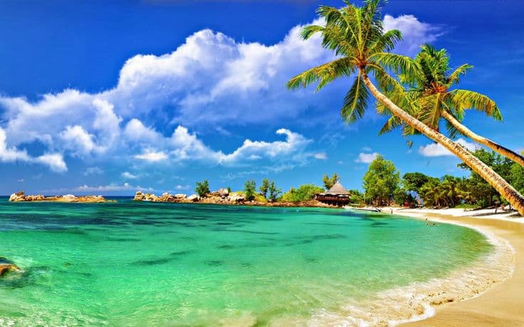 Andaman Island Escape – Port Blair, Havelock & Neil Island gallery photo 5