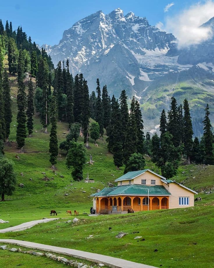 Kashmir Winter Group Trip – Ex Ahmedabad gallery photo 3